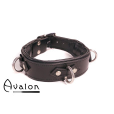Avalon - VICTORY - Enkelt Collar med D-ringer og polstring - Sort og Rød