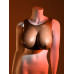 GENDER X - Breast Plate E-Cup - Bryst protese - Mørk hudfarge