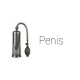 Penis Penis
