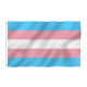 Trans Pride Flagg 90cm x 150cm