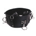 Kiotos - Forced Orgasm Belt Kiotos - Forced Orgasm Belt