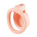 Sevanda - Pink Pride - Kyskhetsbur - Kort Sevanda - Pink Pride - Kyskhetsbur - Kort