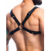 H4rness C4M - Party Harness - Sort